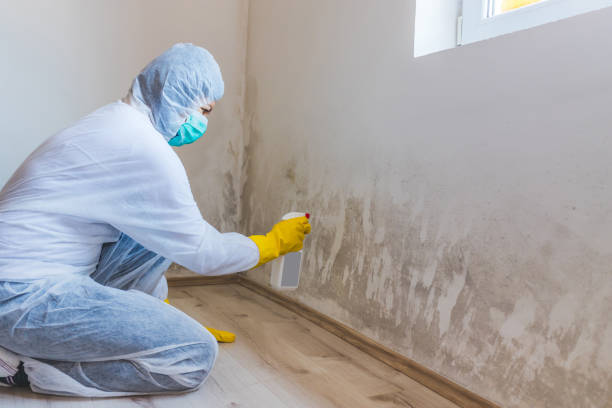 Mold Remediation specialist working in Grand Prairie